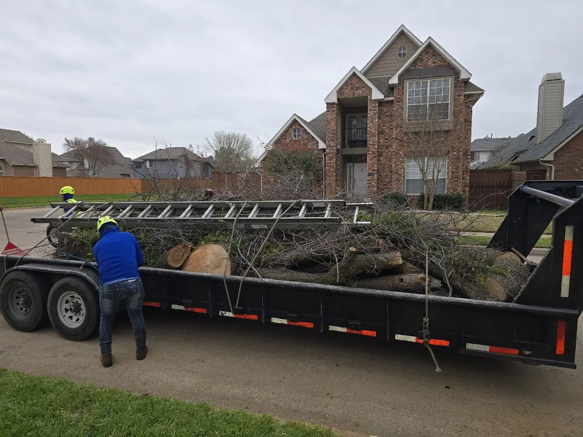 Expert Tree Fertilization with proper safety equipment in Lester